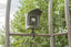 Technaxx Full HD Birdcam TX-165